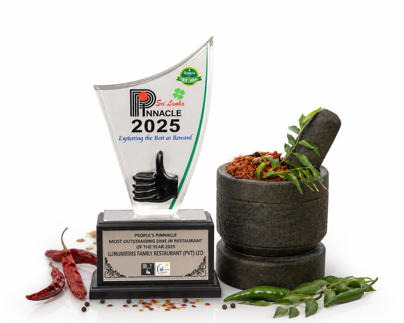 Pinnacle 2025 Award